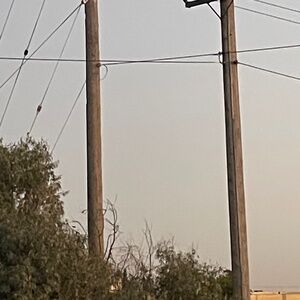 DOWNTOWN BETTY Set in Rooibis Chai -flared pants &cropped top